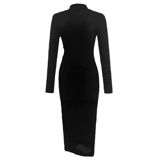 Turtleneck Long Sleeve Dress