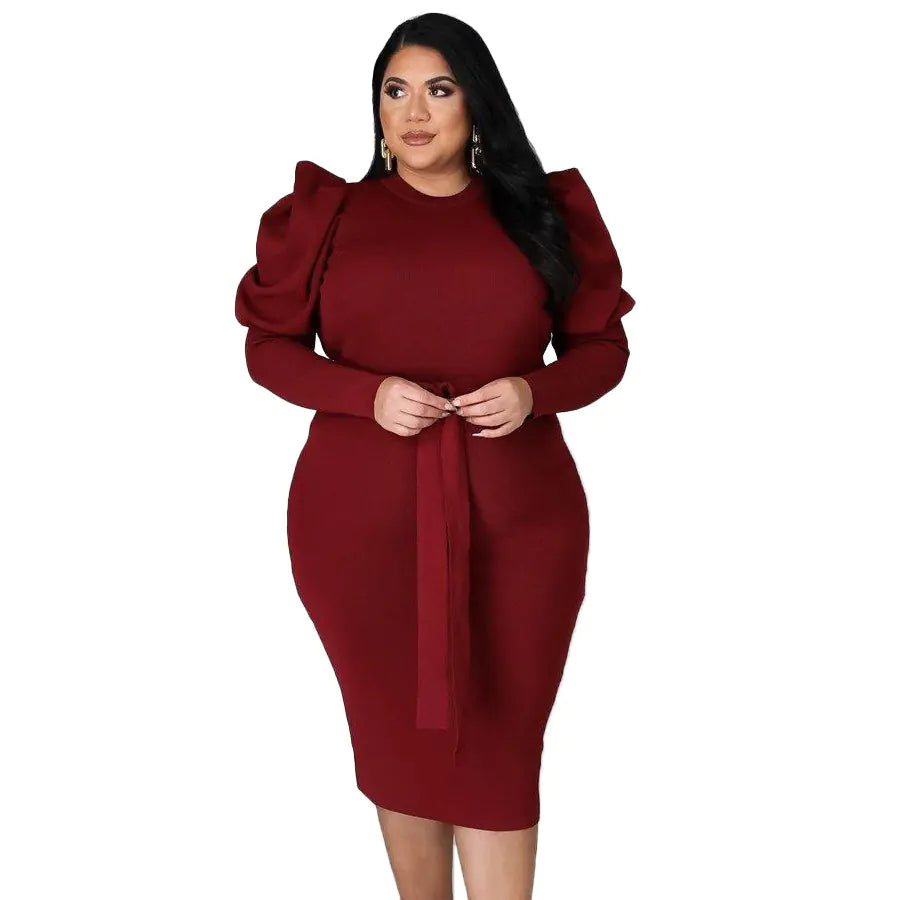 Plus Size Women's Slim Fit Dress