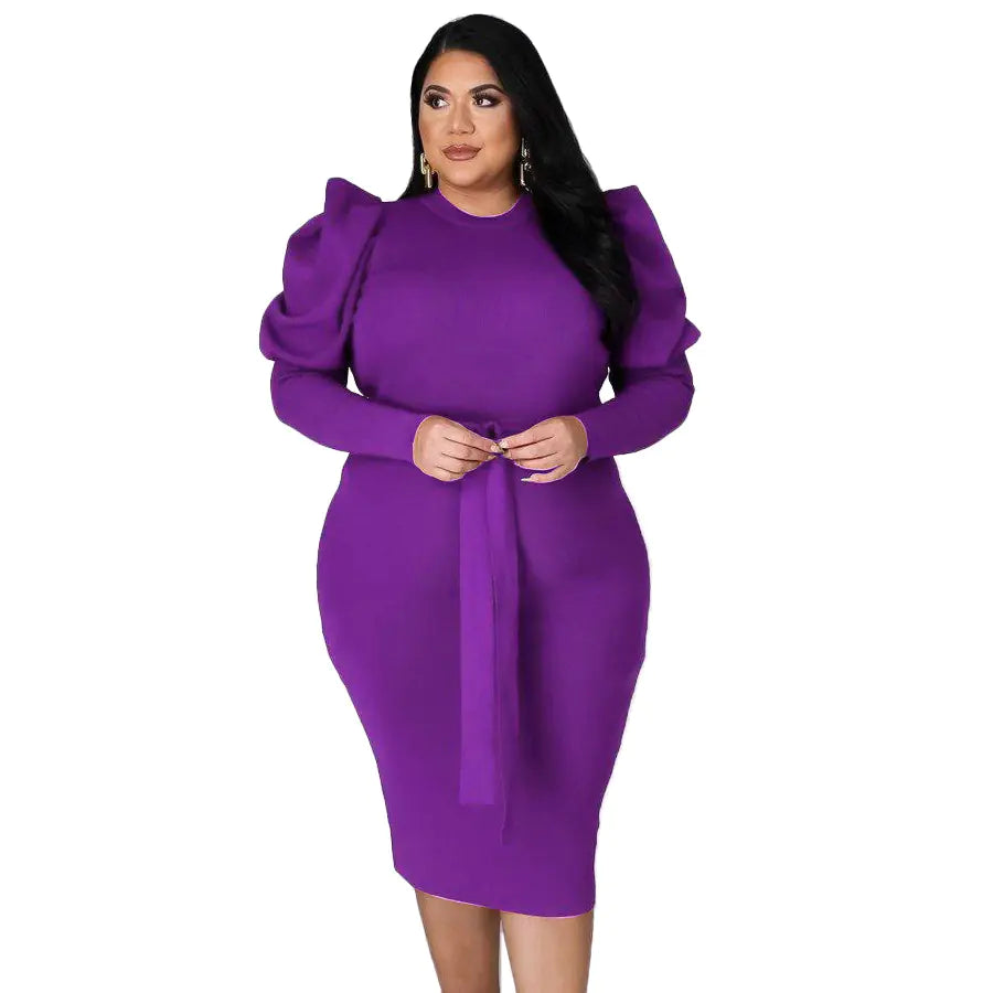 Plus Size Women's Slim Fit Dress