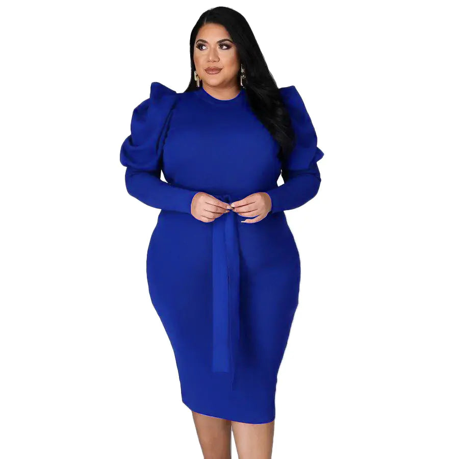 Plus Size Women's Slim Fit Dress
