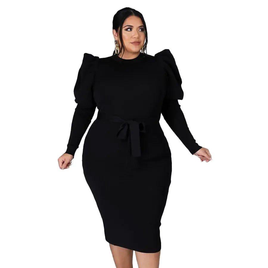 Plus Size Women's Slim Fit Dress