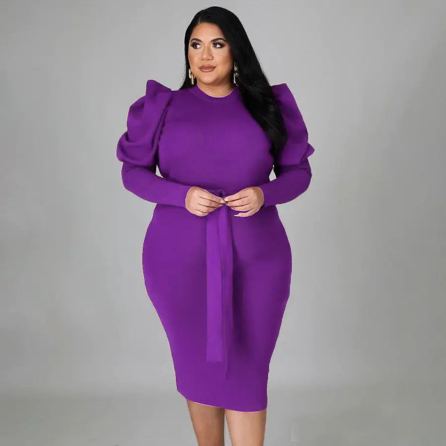 Plus Size Women's Slim Fit Dress