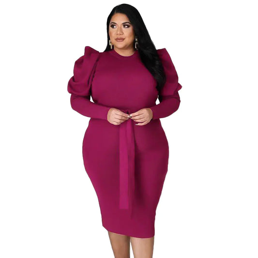 Plus Size Women's Slim Fit Dress